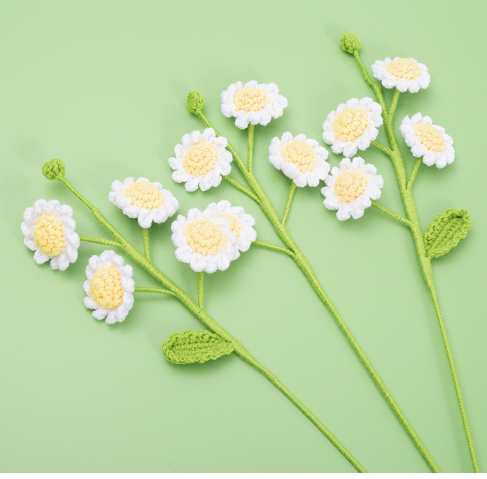 SMALL &nbsp;DAISY